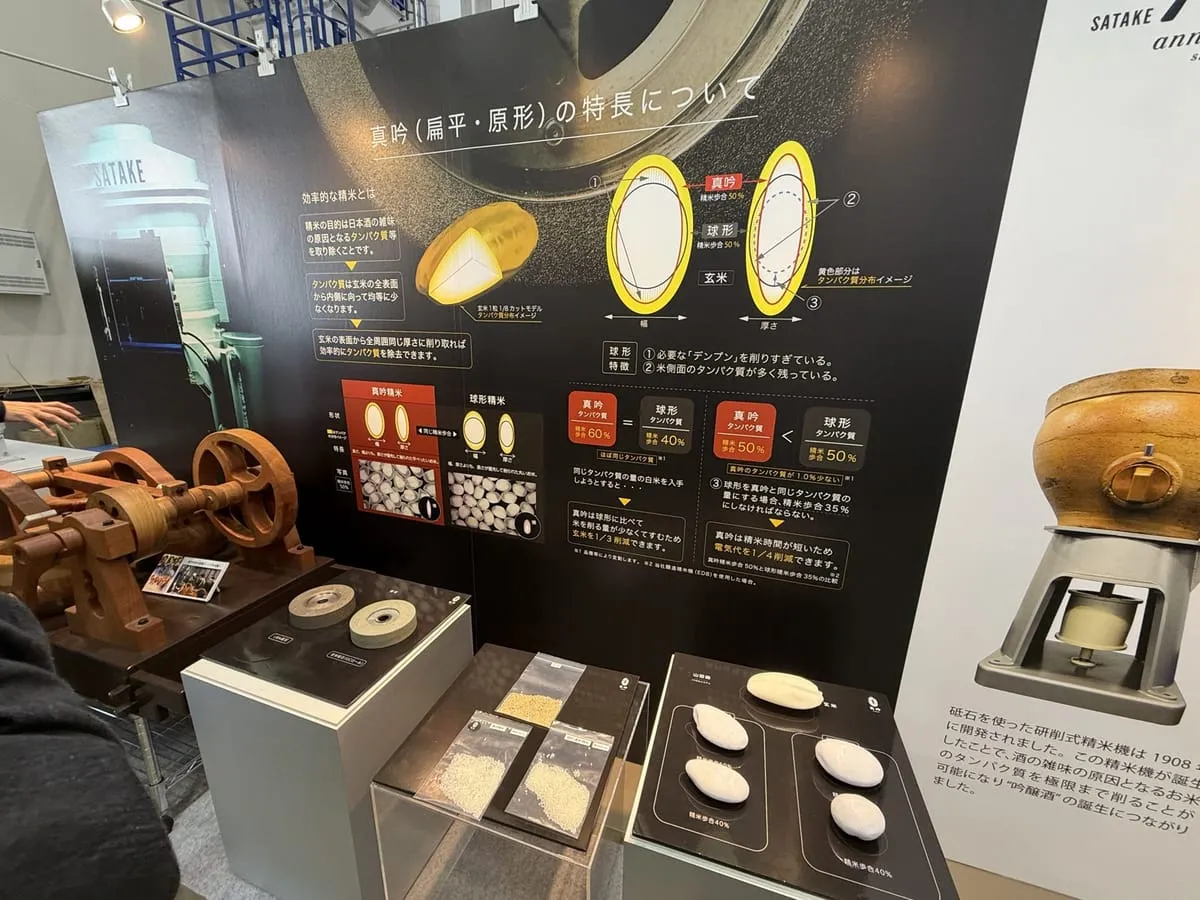 「真吟(扁平・原形)の特長について」の展示パネル。米の断面図とタンパク質の分布、真吟60%と球形40%の比較、砥石と昔の精米機が並ぶ